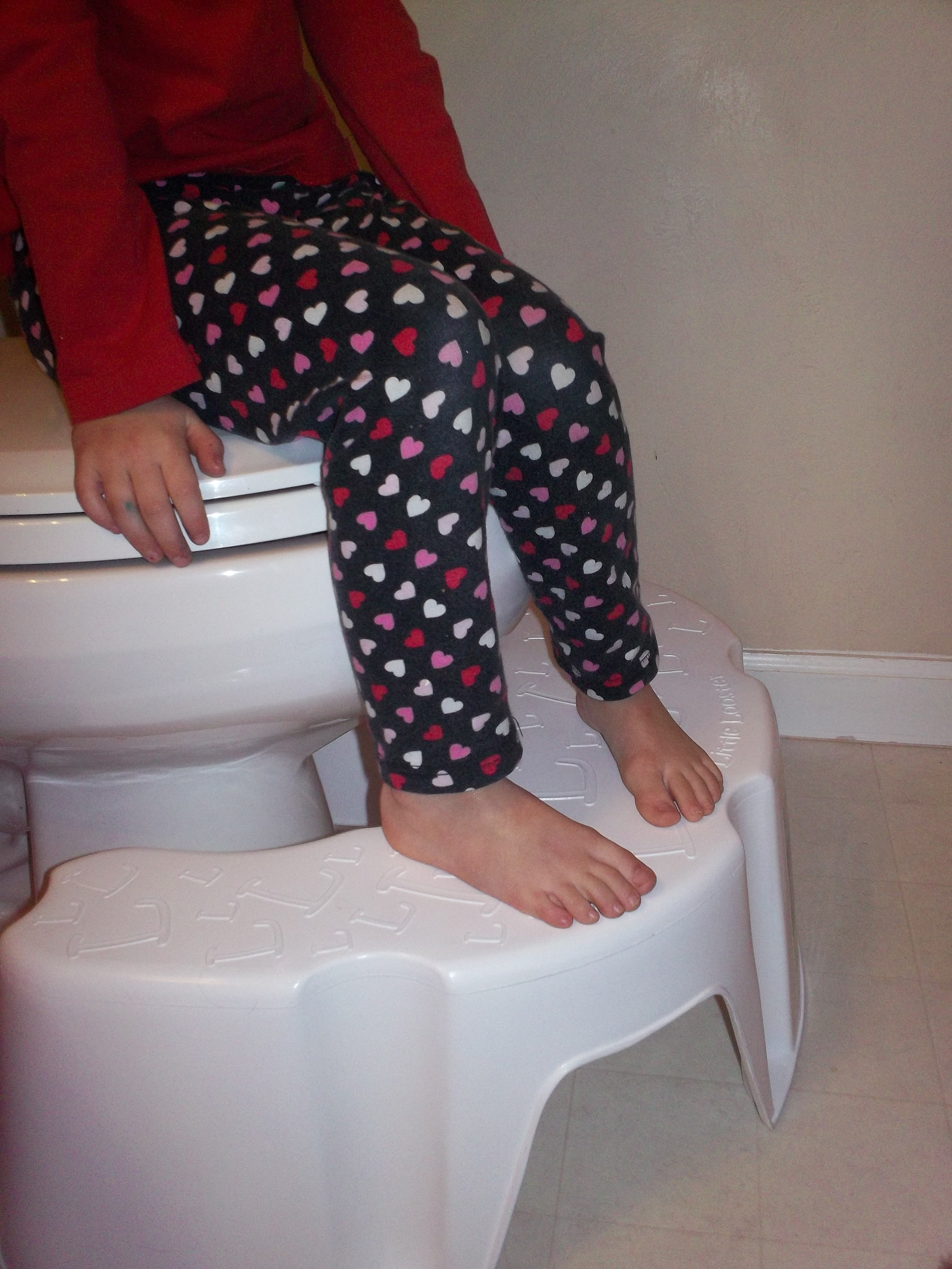 Little Looster Potty Training Step Stool Emily Reviews