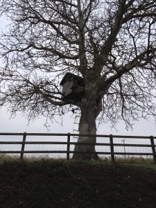 Tyrrells Court Farm Treehouse