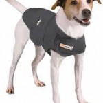 thundershirt