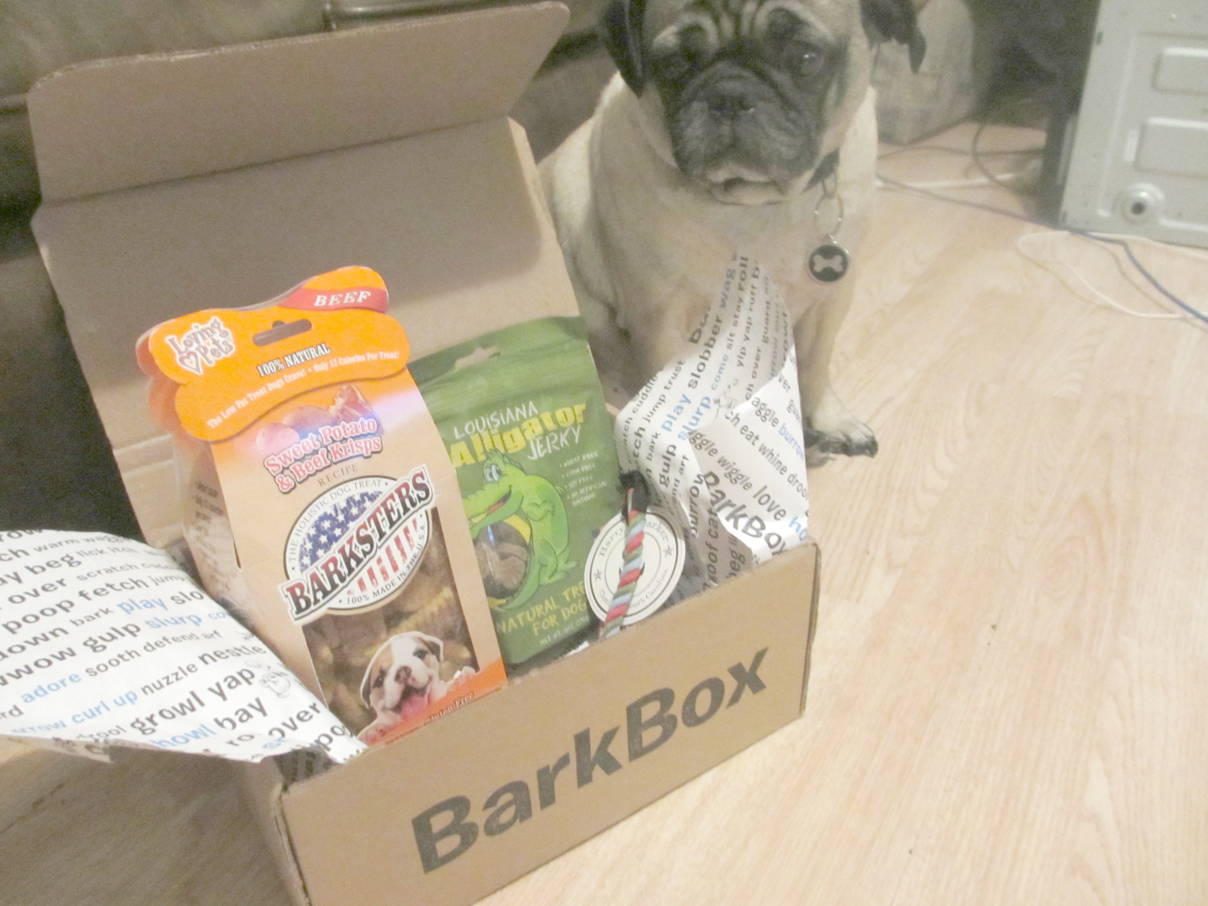 January BarkBox For Small Dogs Review Emily Reviews