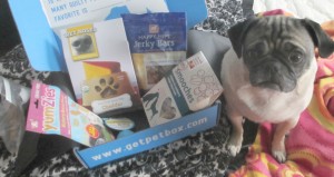 You pick pet box subscription box