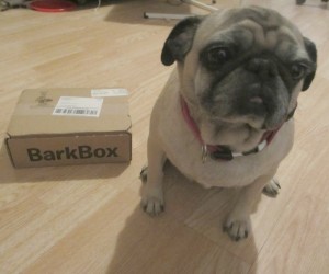 barkbox march review