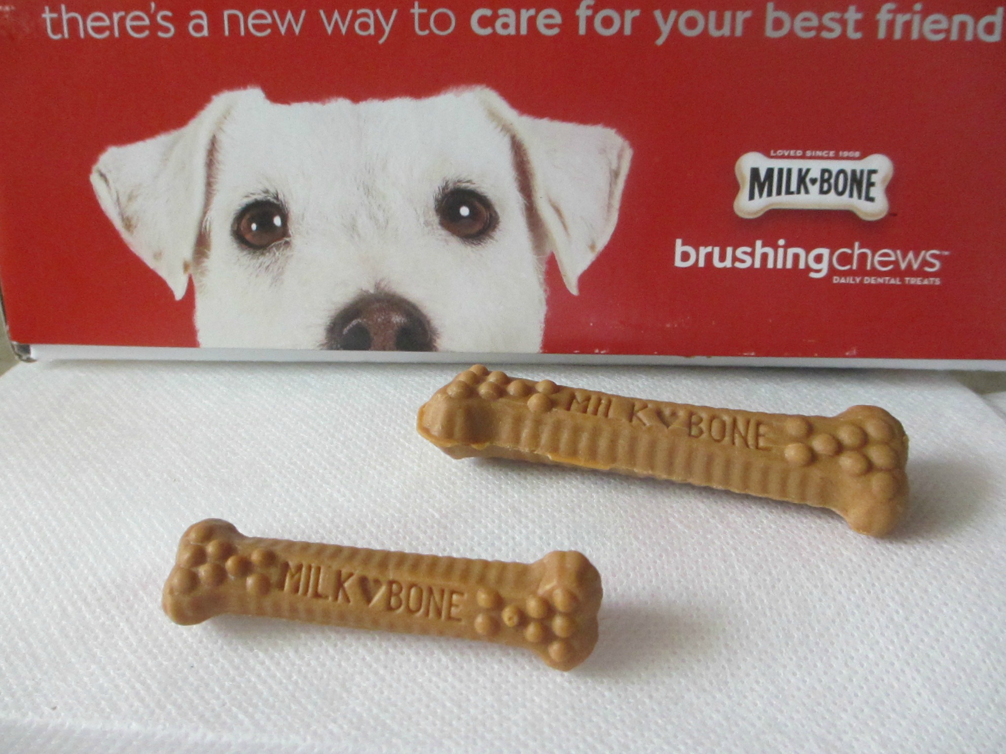 are milk bone brushing chews safe for dogs