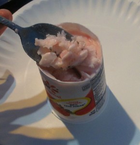 Frozen Yoplait yogurt