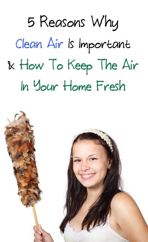 5-reasons-why-clean-air-is-important-to-me-5-ways-that-i-keep-the-air