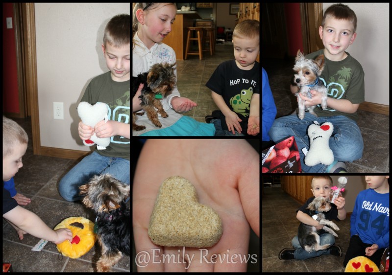 PetGiftBox.com ~ Pet Gift Box ~ Celebrate Love ~ Review, Discount: Mail delivered to your door each month for your pet! Boxes available for dogs and cats.