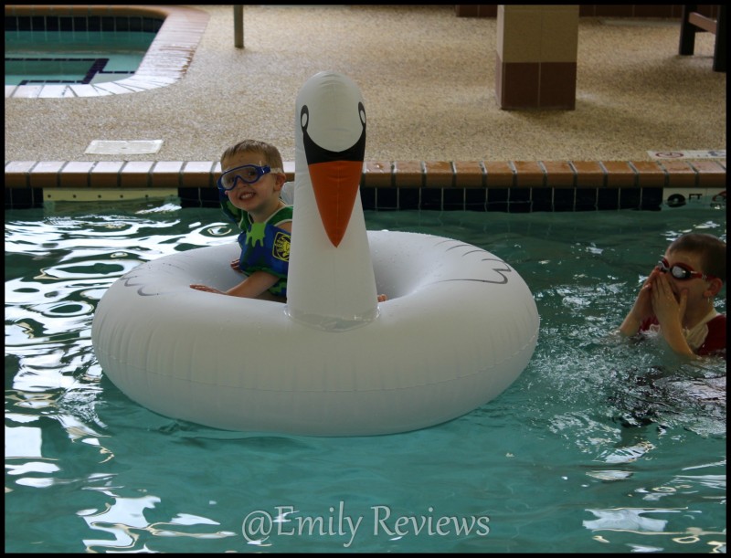 GoFloats Giant Swan Tube ~ Summer, Sun, & Hit The Pool For Some Fun! by GoSports