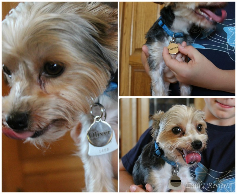 dogIDs Personalized Dog Tags