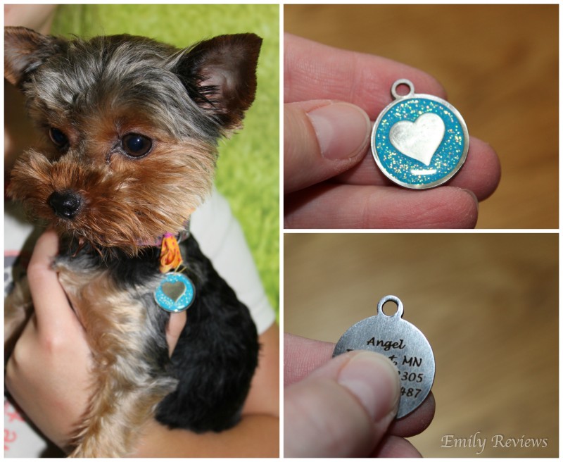 dogIDs Personalized Dog Tags