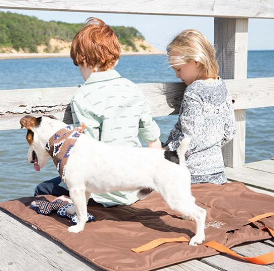 Original Territory Travel Blanket in a bag