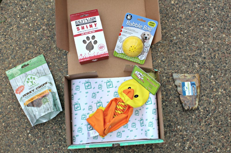 The Gift Box Company ~ PawPack Review & Discount Code - Give yourself and your loved ones a monthly gift of the best products for every part of your life. Explore new interests, indulge your passions, and share the fun with all the your four legged and two legged friends. {Emily Reviews}