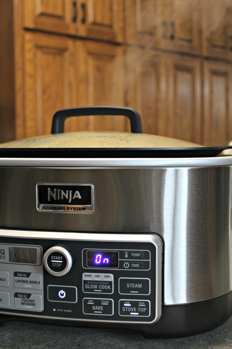 1StopMom – Milwaukee Wisconsin Lifestyle Parenting Blog - The Ninja Cooking  System With Auto-iQ Makes Meal Time Easier - 1StopMom - Milwaukee Wisconsin  Lifestyle Parenting Blog
