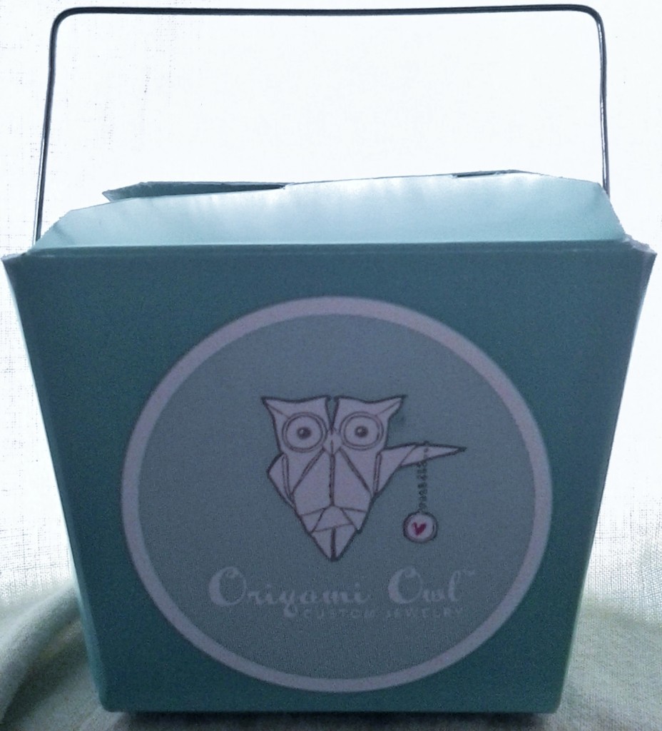 Origami Owl Living Locket Review Emily Reviews