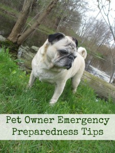 Pet Owner Emergency Preparedness Tips | Emily Reviews