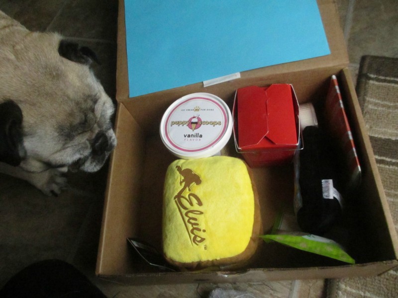 surprise my pet box
