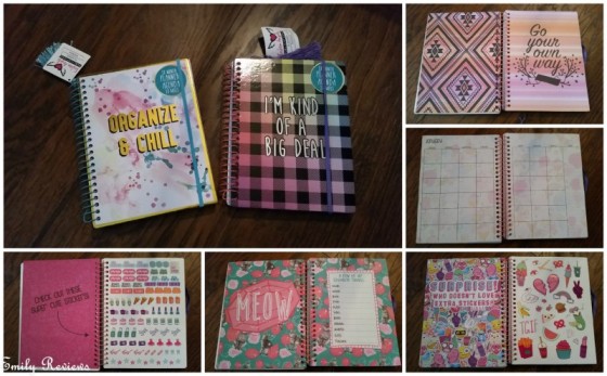 Fashion Angels 18 Month Planners 560x347 