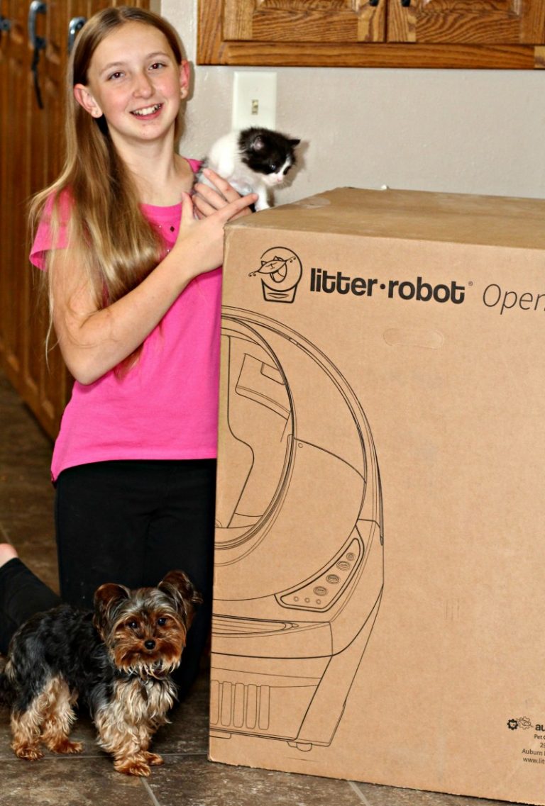 best litter for litter robot iii