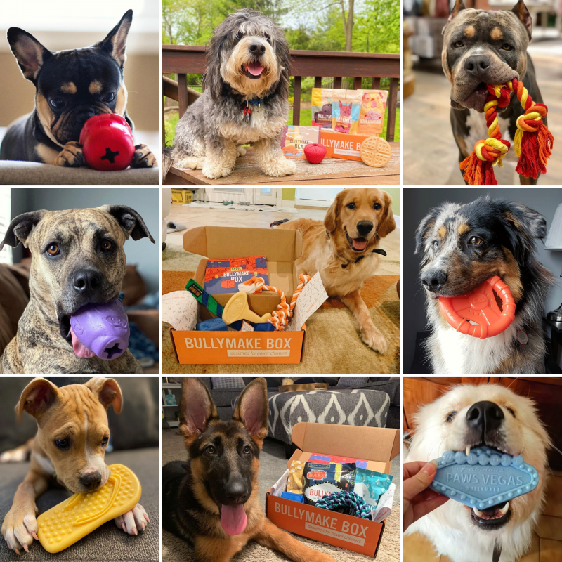 Bullymake Box Subscription Service For Dogs ~ Giveaway