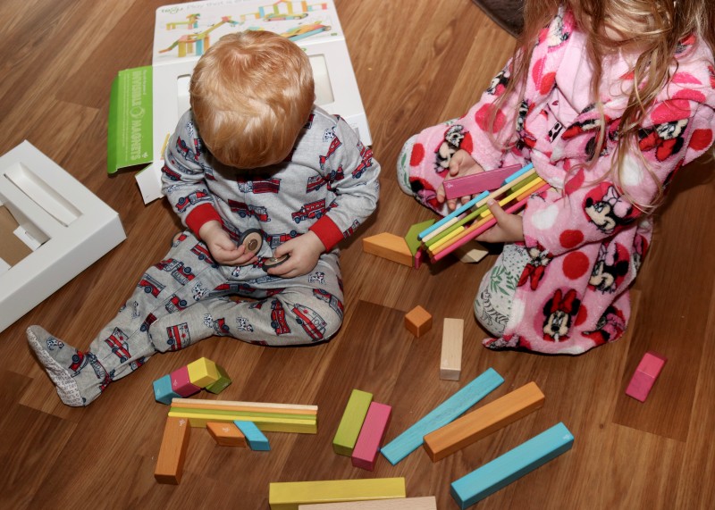 Tegu Magnetic Blocks