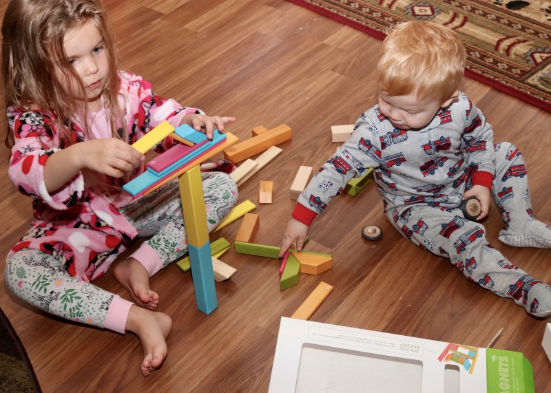 Tegu Magnetic Blocks