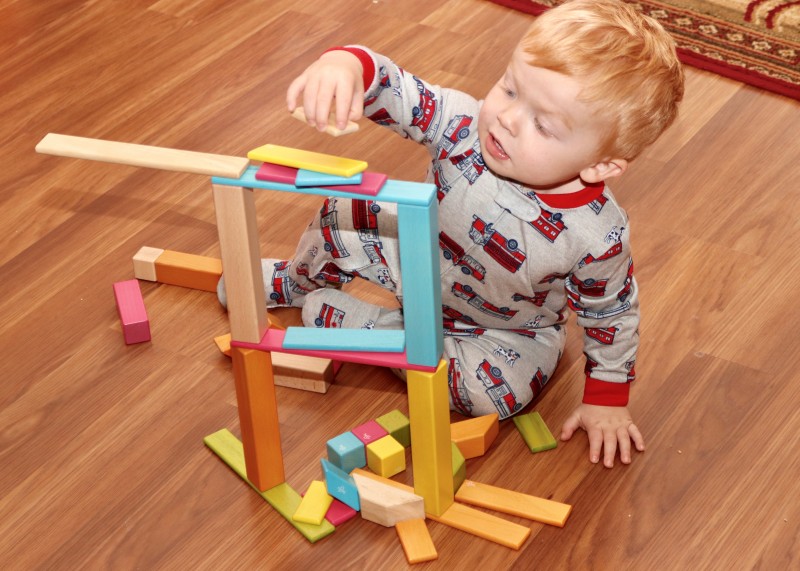 Tegu Magnetic Blocks