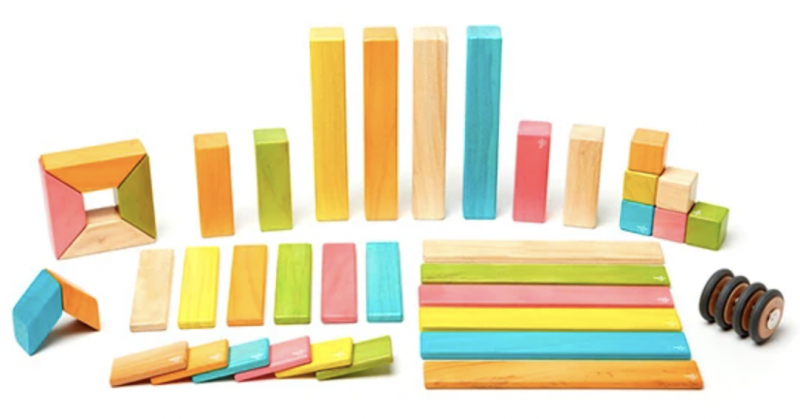 Tegu Magnetic Building Blocks