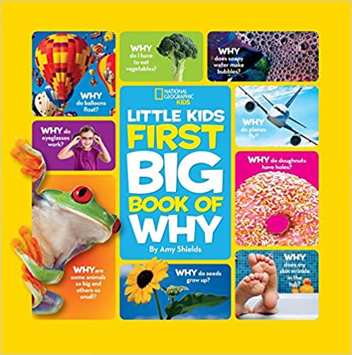 little kids big book of why