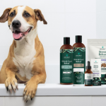 dog spa day bundle giveaway