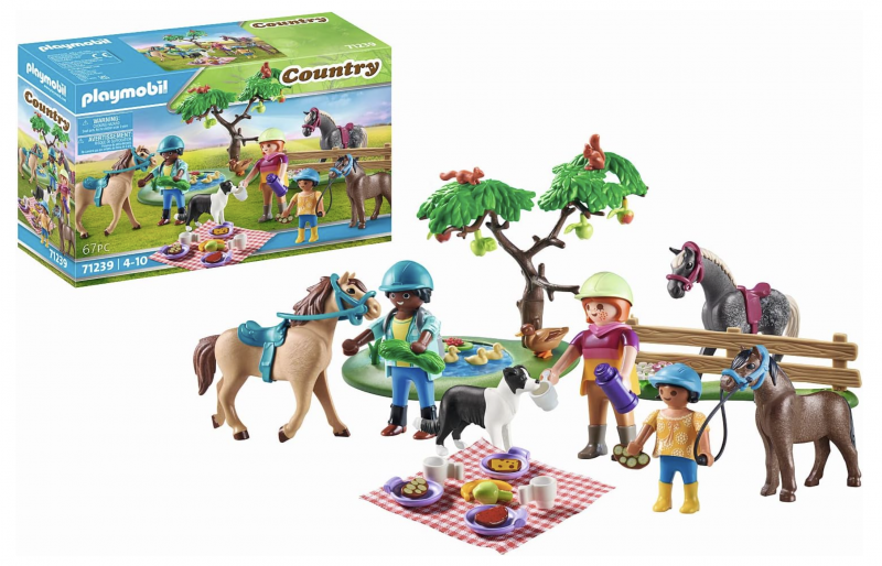 Playmobil Picnic Adventure with Horses