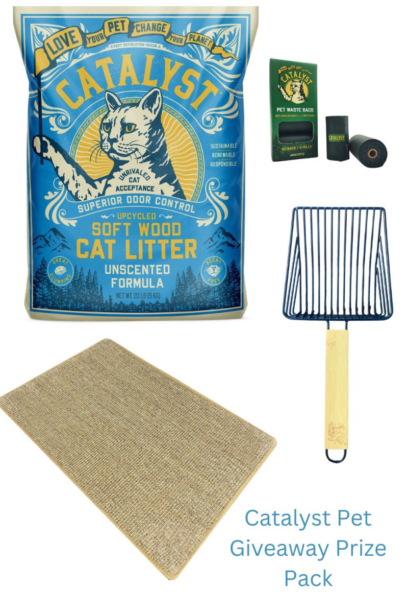 catalyst pet cat prize pack giveaway