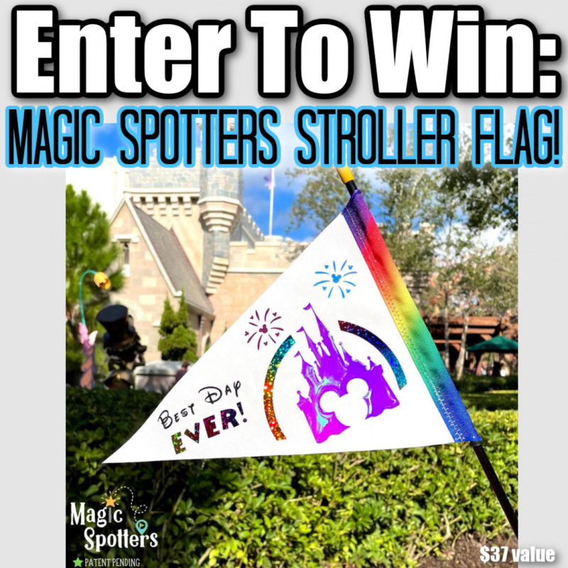 Magic Spotters Stroller Flag Review & Giveaway!