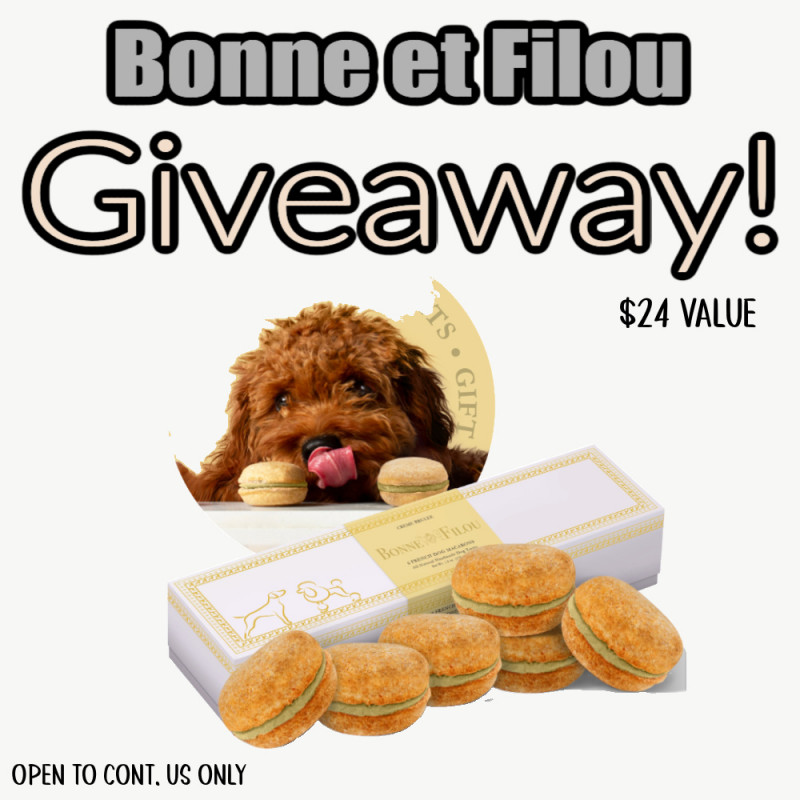  Bonne et Filou: The Best Dog Treats For Your Favorite Pup! (+ Giveaway).