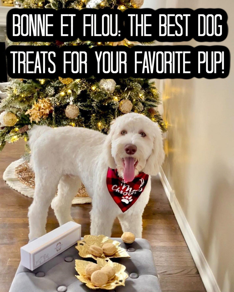 Bonne et Filou: The Best Dog Treats For Your Favorite Pup!