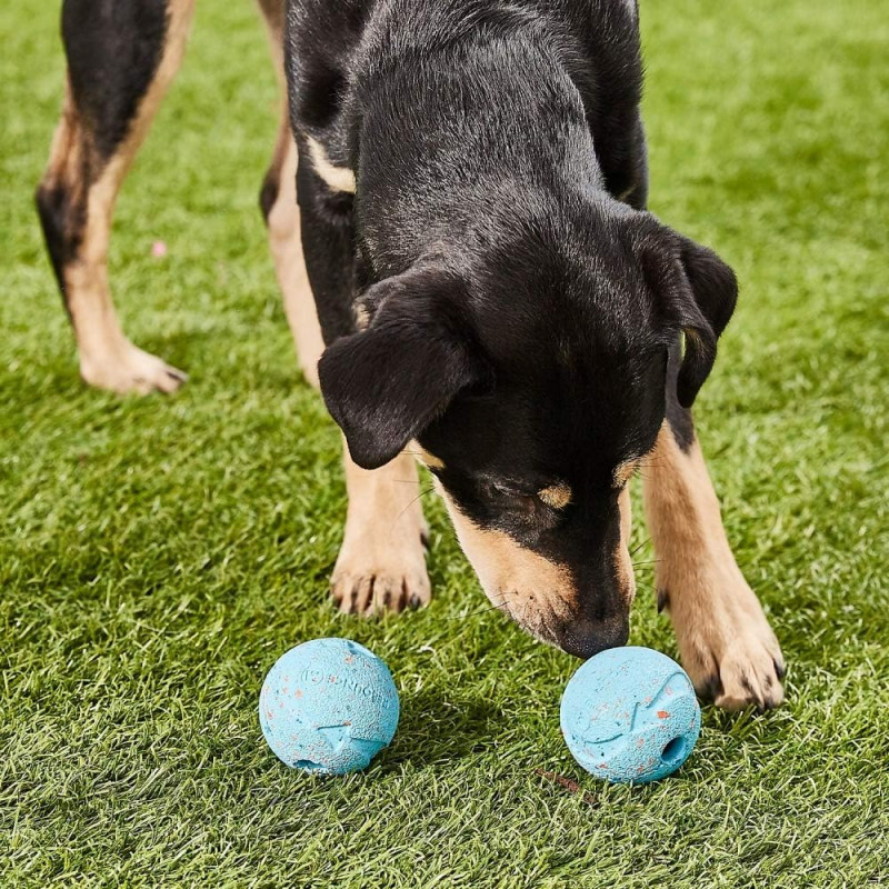 Chuckit! Medium Rebounce Ball.