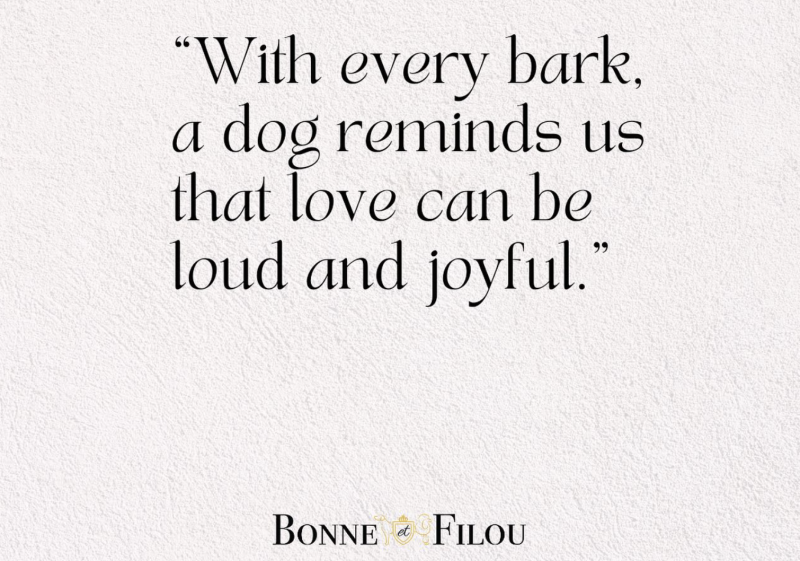 Bonne et Filou: The Best Dog Treats For Your Favorite Pup!