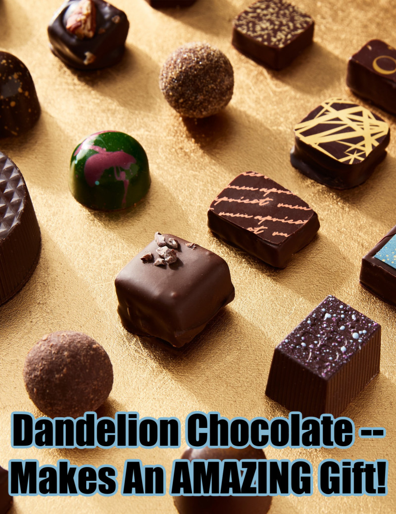 Dandelion Chocolate -- Makes An AMAZING Gift!