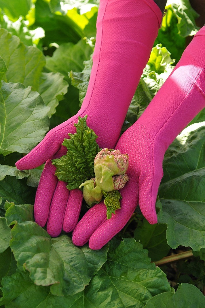 foxgloves gardening gloves