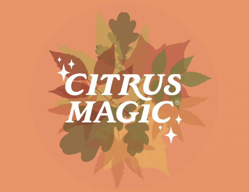 Citrus Magic: Holiday Bakeshop Air Care Giveaway!