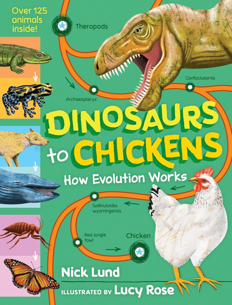 Dinosaurs To Chickens How Evolution Works