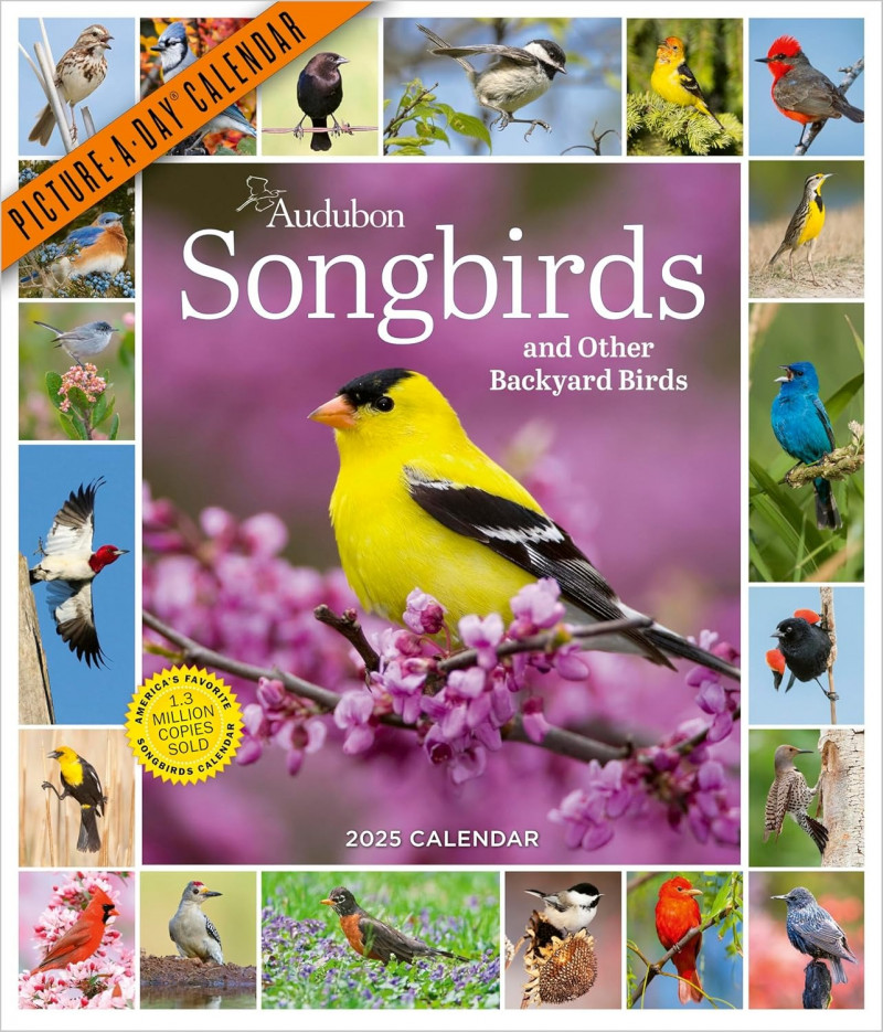 Songbirds calendar