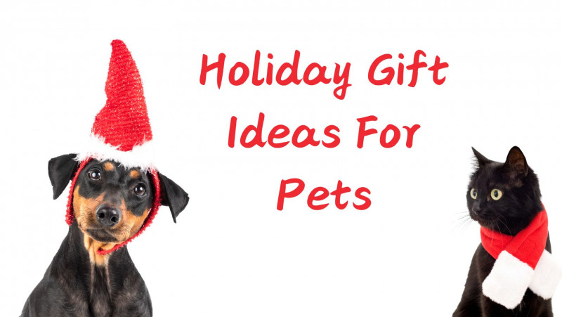 holiday gift guide for pets 2024 - gift ideas for cats and dogs