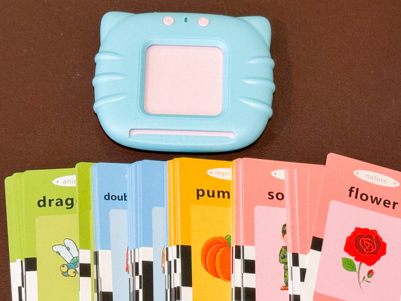 KOKODI Talking Flash Cards Toy Review + Giveaway.