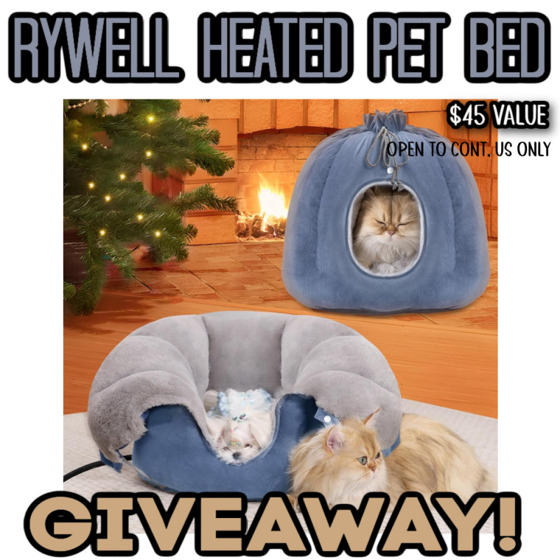 Rywell Heated Cat Bed Review and Giveaway.