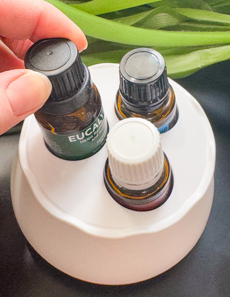 OilNest - Essential Oils Bottle Holder Review & Giveaway.