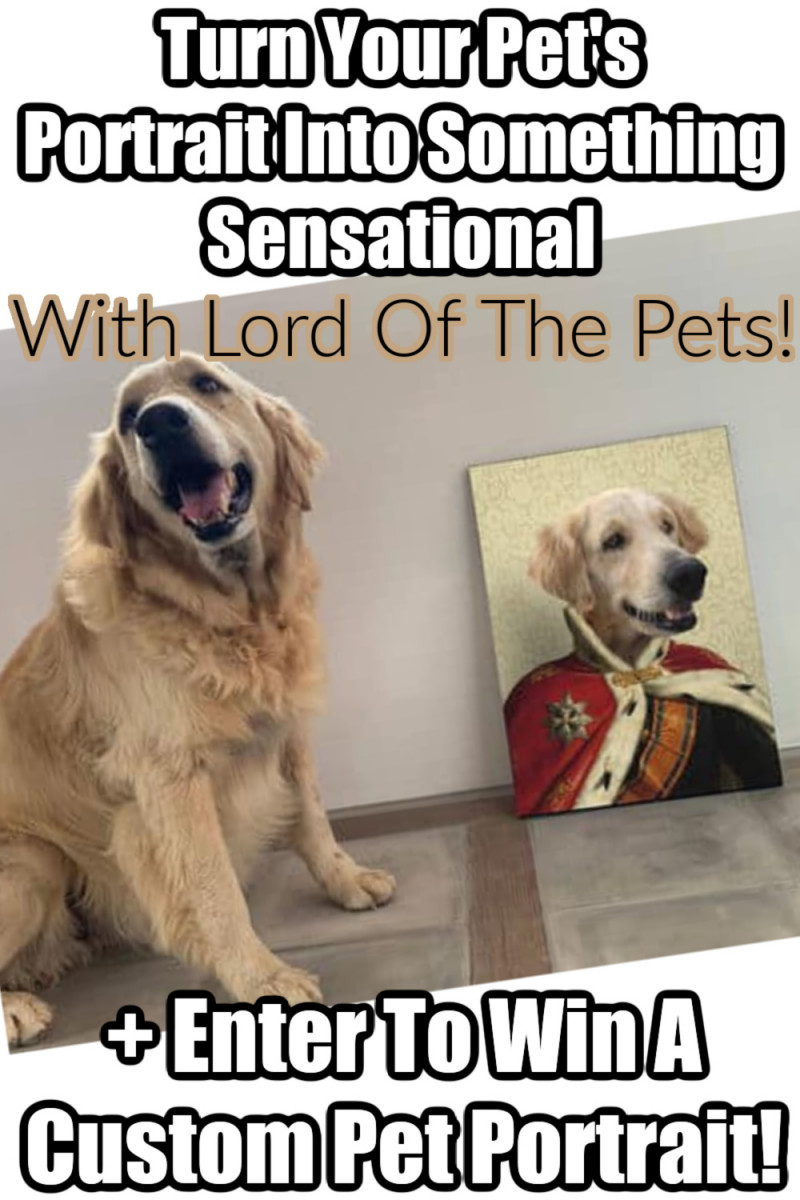 Lord Of The Pets Custom Pet Portraits Featuring YOUR Favorite Animal (+ Giveaway).